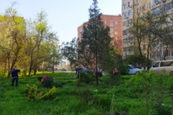 В округе 16 проведен  очередной субботник! 